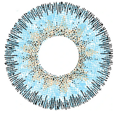 Lentes de contacto de color CONTOUR BLUE