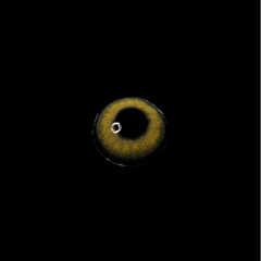 Lentes de contacto de color marrón caqui Pro