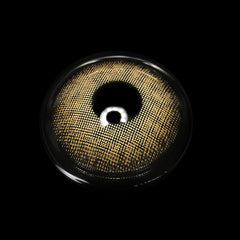 Lentes de contacto de color Breena Hazel