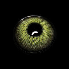 Lentes de contacto de color con prescripción Thetis Green