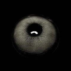 Lentes de contacto de color Claudina Gray