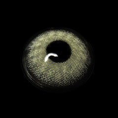 Lentes de contacto de color Breena Gray