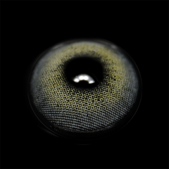 Lentes de contacto de color gris cielo océano con prescripción médica