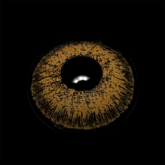 Lentes de contacto color caqui NATURAL COOL HAZEL