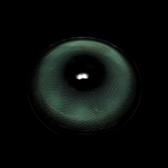 Lentes de contacto de color Shae Green