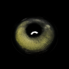 Lentes de contacto de color con prescripción Yari Gray