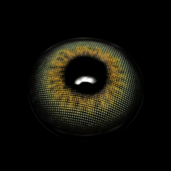 Lentes de contacto de color gris Etoile Scandi