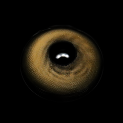 Lentes de contacto de color marrón Realta Pudding