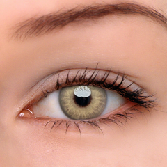 Himalaya Brown Prescription Colored Contact Lenses