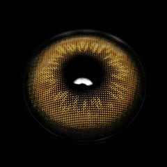 Lentes de contacto de color marrón Nova