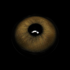 Lentes de contacto de color Claudina Brown