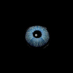 Lentes de contacto de color New York 2 BLUE Daily (10 unidades)