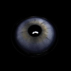 Lentes de contacto de color morado Faylinn