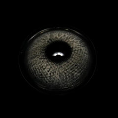 Lentes de contacto de color Ellie Gray