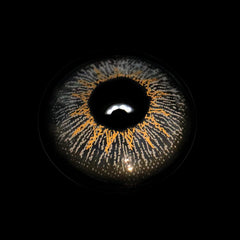 Lentes de contacto de color con prescripción en color gris circón