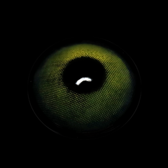 Lentes de contacto de color recetados lracema Green