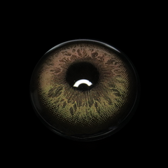 Dione Brown Colored Contact Lenses