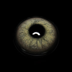 Sigilla Gray Colored Contact Lenses