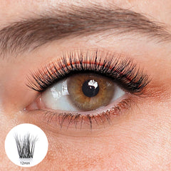 Carolina Black Lashes 
