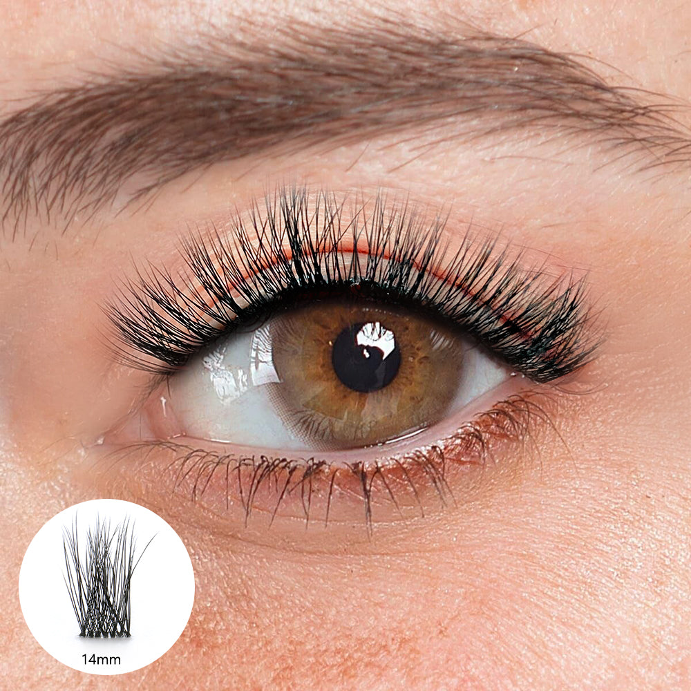 Carolina Black Lashes 
