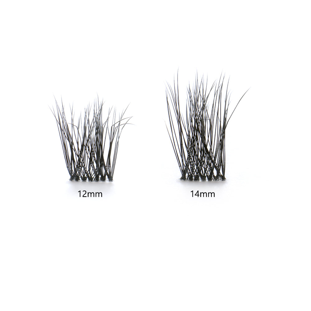 Carolina Black Lashes 