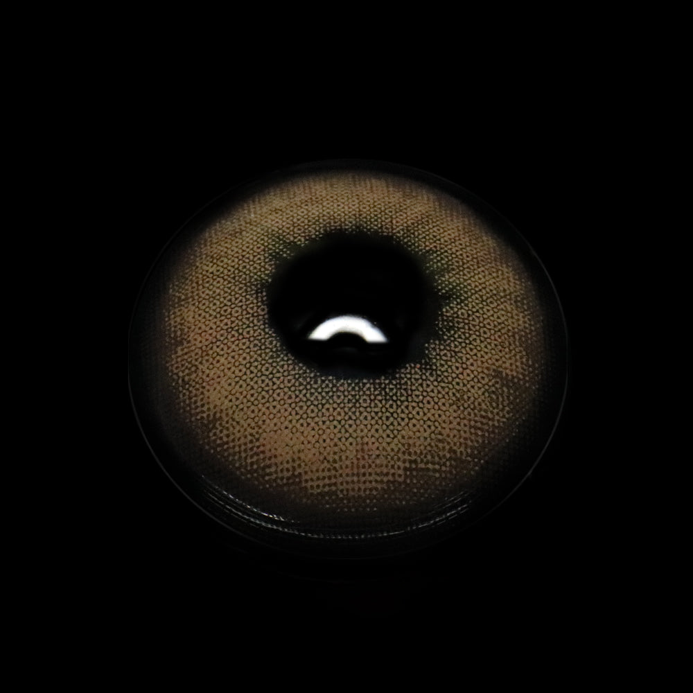 Berilo Brown Colored Contact Lenses