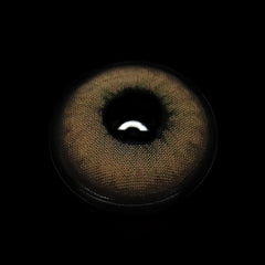 Berilo Brown Colored Contact Lenses