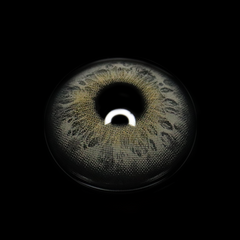 Lentillas de contacto de color Kelly Gray