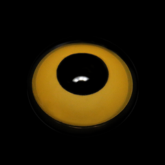 Lentes de contacto de color naranja Cosplay Block 